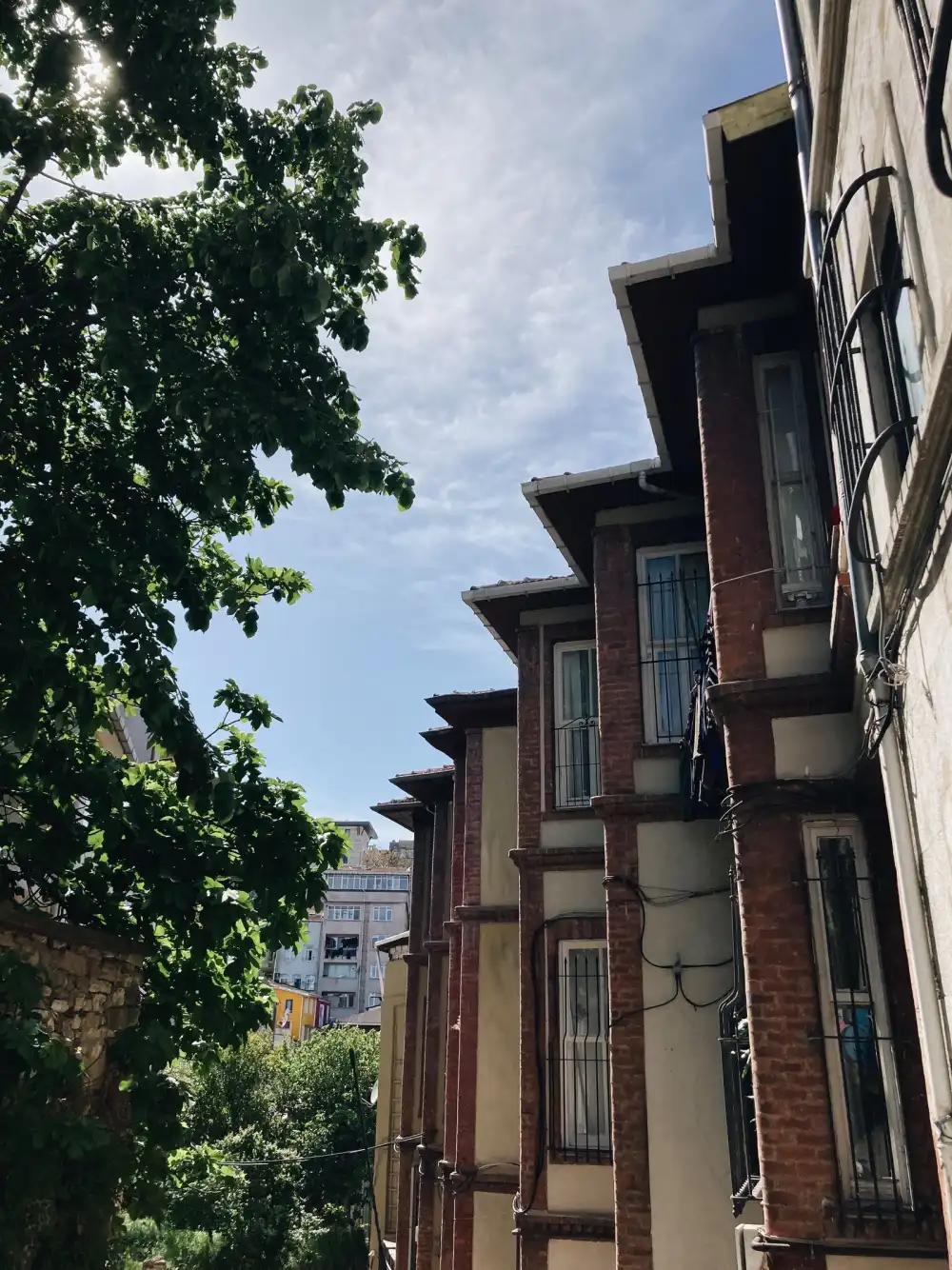Immeubles urbains bordés d'arbres en centre-ville